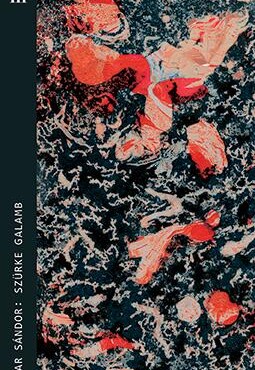 Szürke Galamb - Magvető Zsebkönyvtár