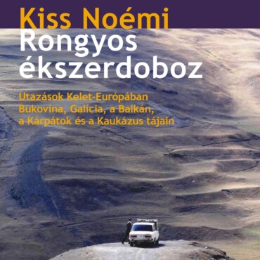 Rongyos Ékszerdoboz