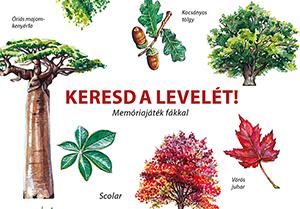 Keresd A Levelét! - Memóriajáték Fákkal