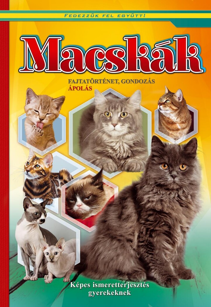 Macskák - Képes Ismeretterjesztés Gyerekeknek/Fedezzük Fel Együtt!