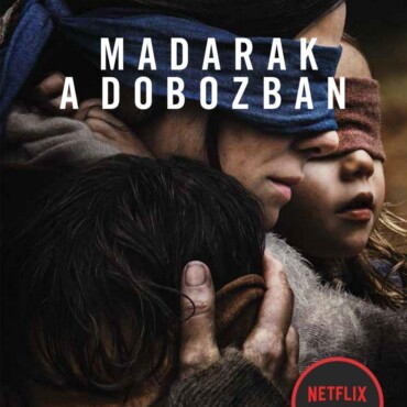 Madarak A Dobozban - Kötött