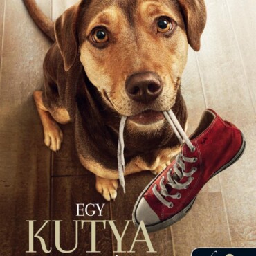 Egy Kutya Hazatér (Filmes Borító)
