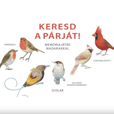 Keresd A Párját! - Memóriajáték Madarakkal