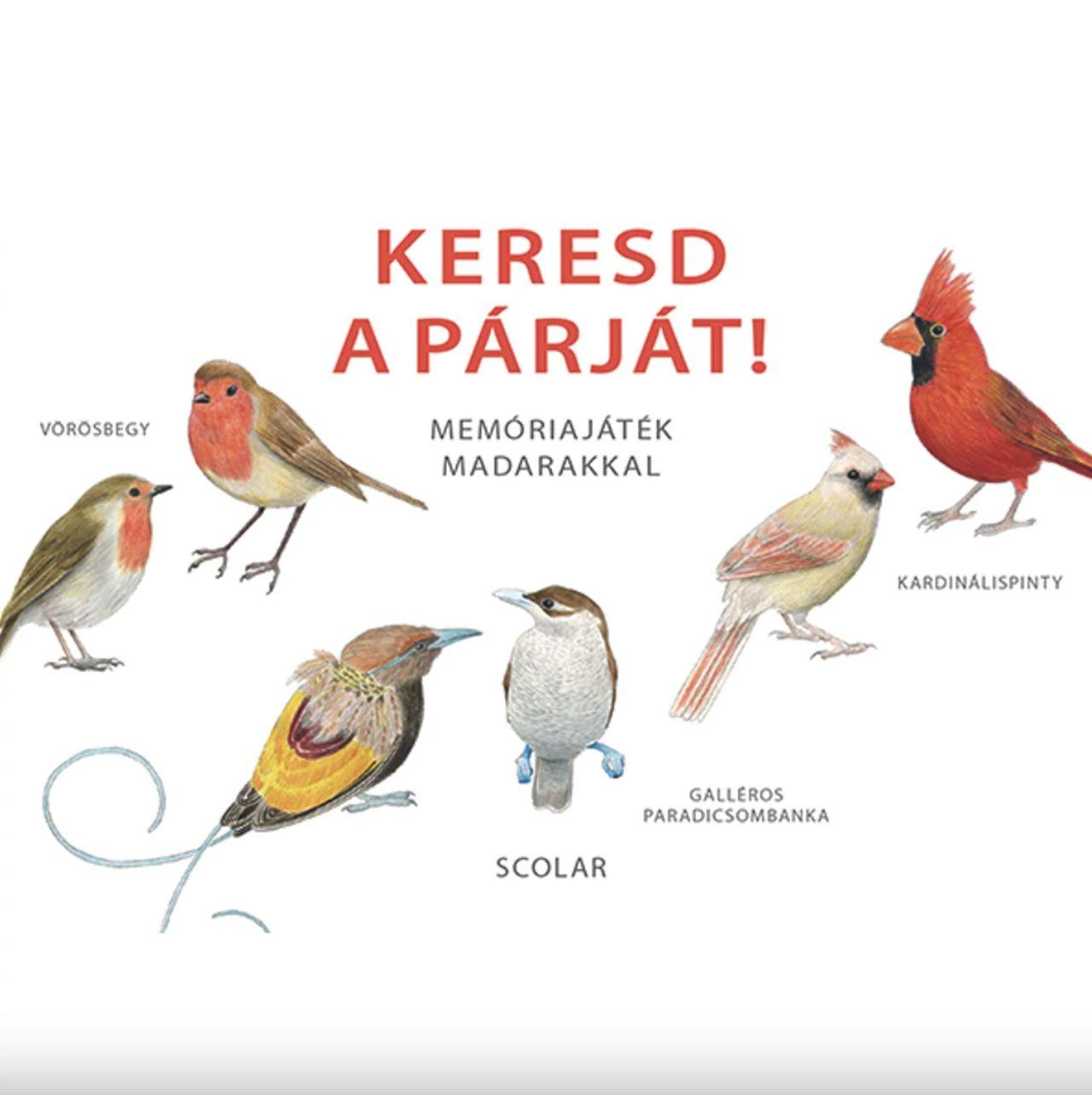 Keresd A Párját! - Memóriajáték Madarakkal