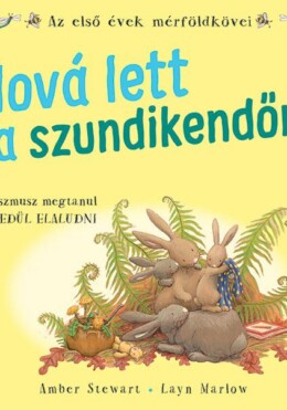 Hová Lett A Szundikendőm?