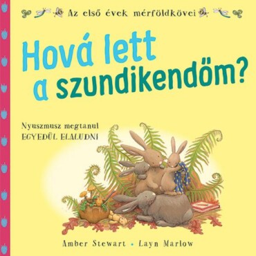 Hová Lett A Szundikendőm?