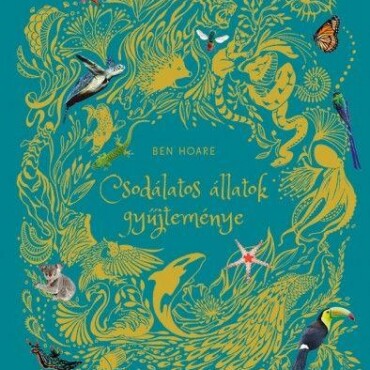 Csodálatos Állatok Gyűjteménye - Élfestett