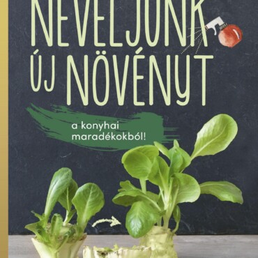 Neveljünk Új Növényeket A Konyhai Maradékokból!