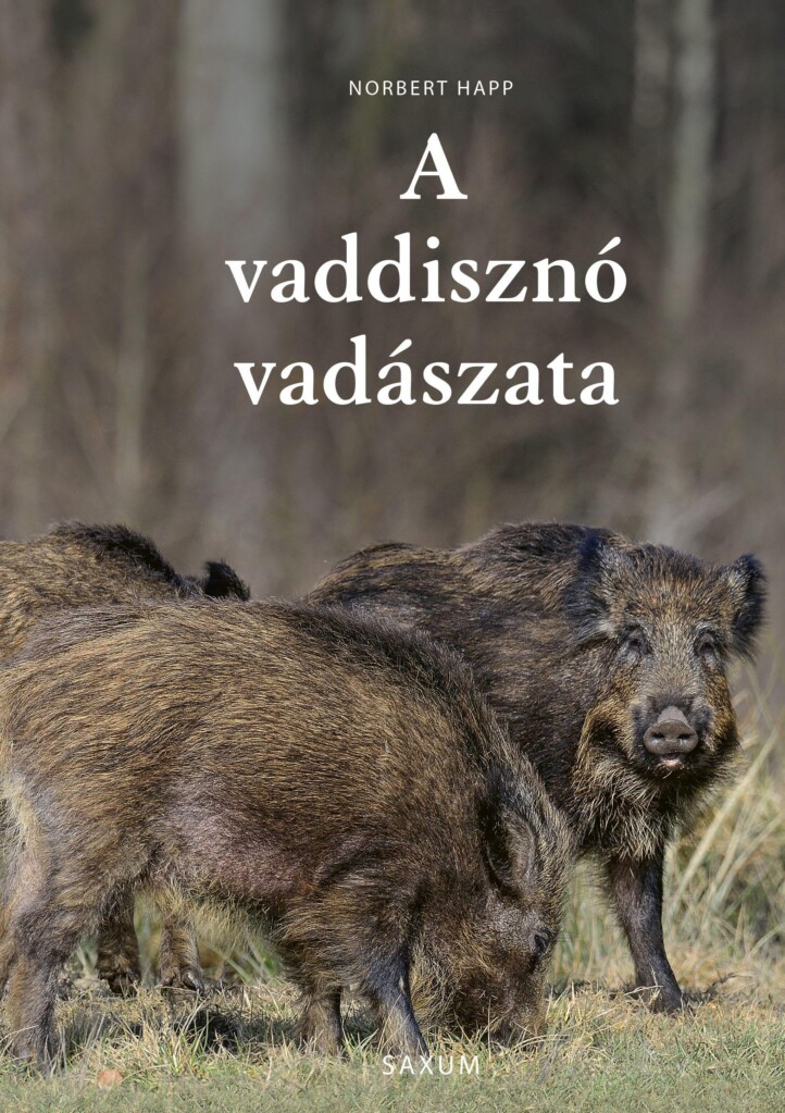 A Vaddisznó Vadászata