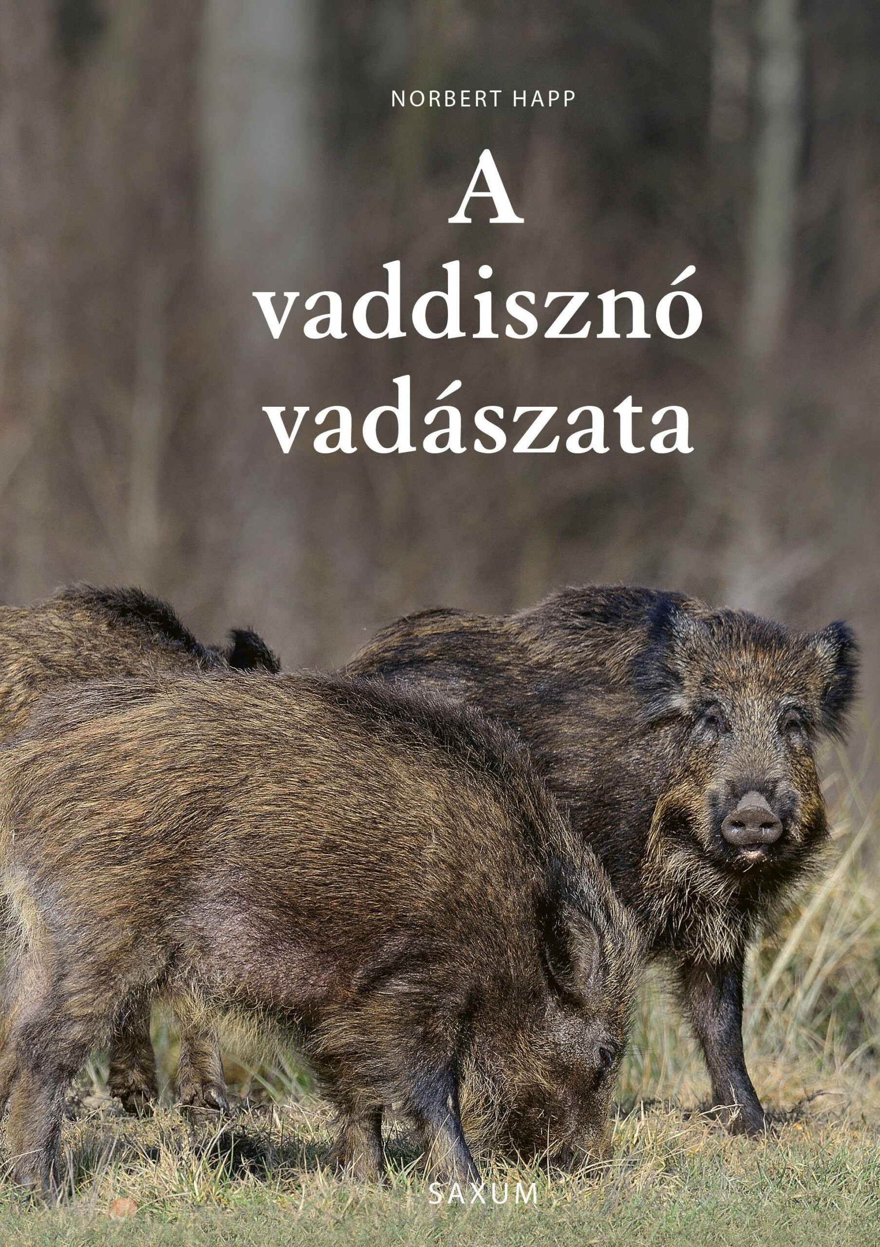 A Vaddisznó Vadászata