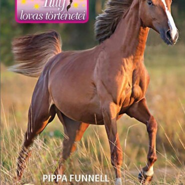 Tilly Lovas Történetei 12. - Gesztenye - Új Remények