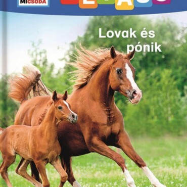 Lovak És Pónik - Mi Micsoda Olvasó