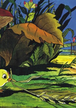 A Huncut Kis Csibe  - Dia -