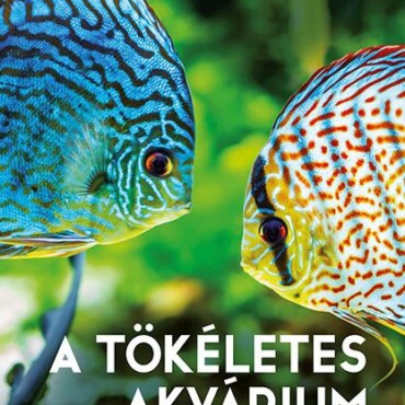 A Tökéletes Akvárium