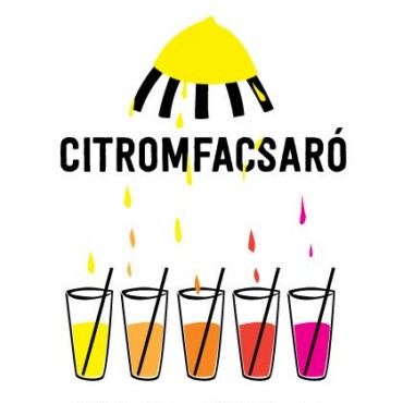 Citromfacsaró - 25 Kérdés, Amit Sohasem Késő Feltenni Magadnak