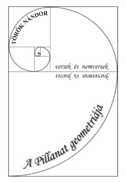 A Pillanat Geometriája - Versek És Nemversek