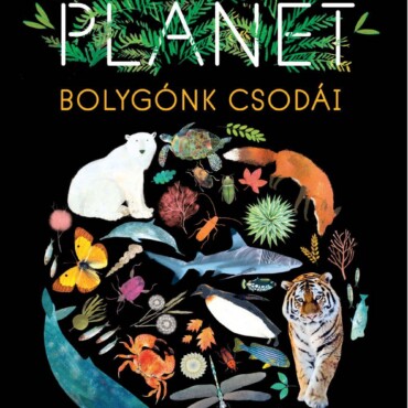 Our Planet - Bolygónk Csodái