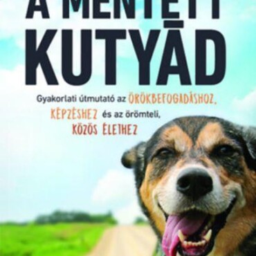 A Mentett Kutyád
