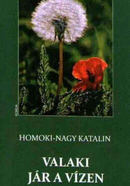 Valaki Jár A Vízen