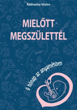 Mielőtt Megszülettél - 9 Hónap Az Anyaméhben