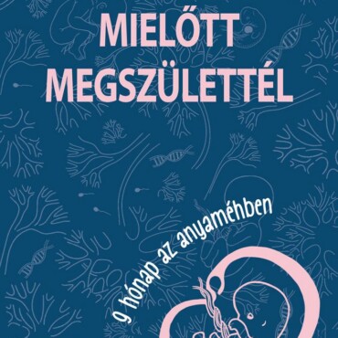 Mielőtt Megszülettél - 9 Hónap Az Anyaméhben