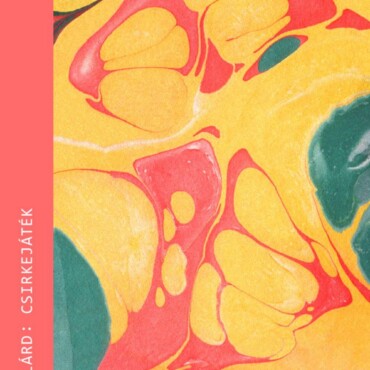 Csirkejáték - Magvető Zsebkönvtár