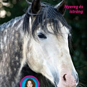 Tilly Lovas Történetei 14. - Vadóc - Nyereg És Istráng