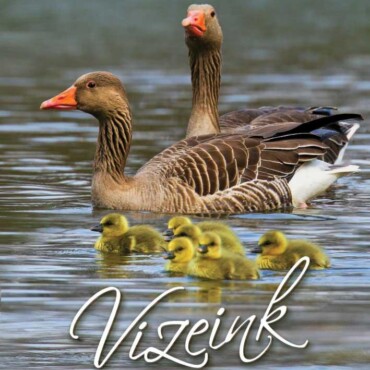 Vizeink Falinaptár 2027 (21X32)