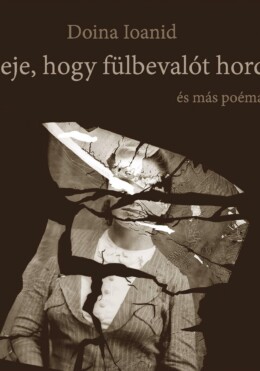 Ideje, Hogy Fülbevalót Hordj - És Más Poémák