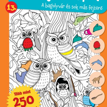 Rejtett Képek 13. - Bagolyvár És Sok Más Fejtörők