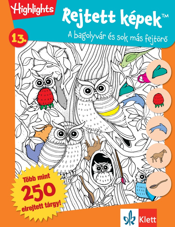 Rejtett Képek 13. - Bagolyvár És Sok Más Fejtörők