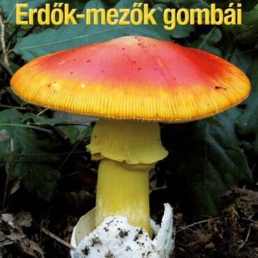 Erdők-Mezők Gombái - Javított Utánnyomás