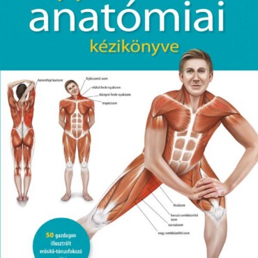A Nyújtás Anatómiai Kézikönyve