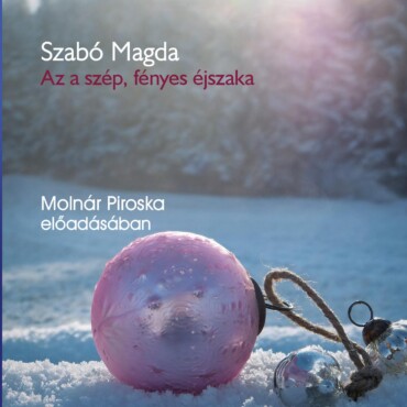 Az A Szép, Fényes Éjszaka - Hangoskönyv -