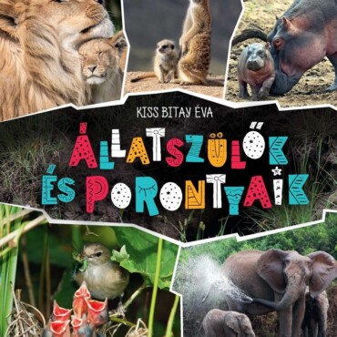 Állatszülők És Porontyaik