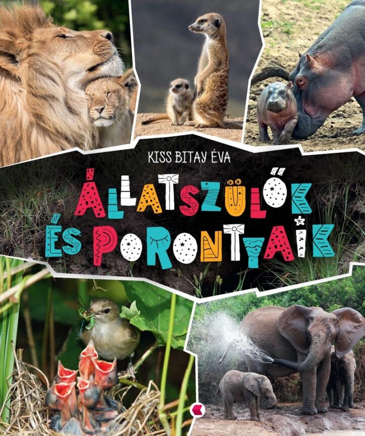 Állatszülők És Porontyaik