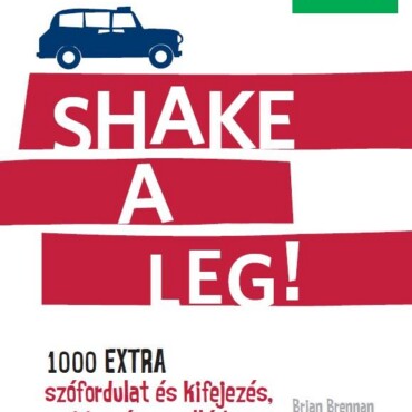 Pons Shake A Leg