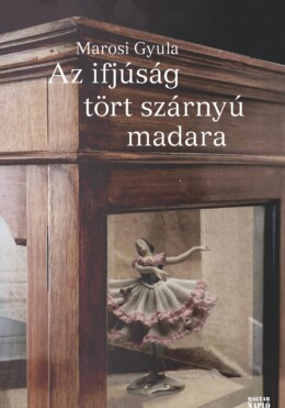 Az Ifjúság Tört Szárnyú Madara