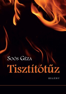 Tisztítótűz - Regény