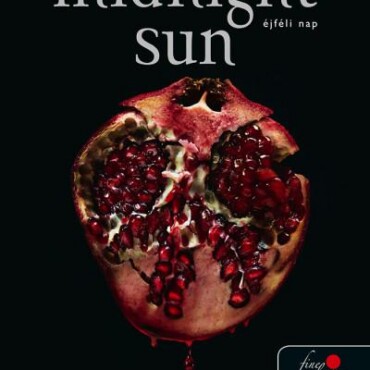 Midnight Sun - Éjféli Nap - Fűzött