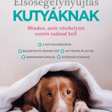 Elsősegélynyújtás Kutyáknak