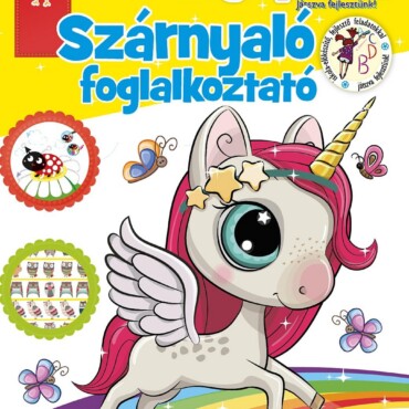 Bagolyfióka - Szárnyaló Foglalkoztató