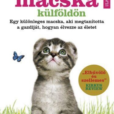 Egy Macska Külföldön