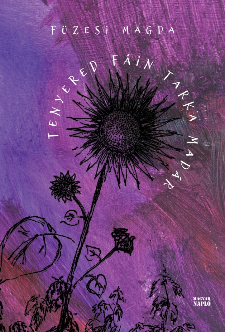 Tenyered Fáin Tarka Madár