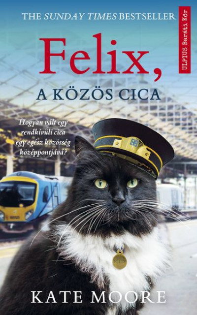 Felix, A Közös Cica
