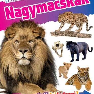 Nagymacskák - Fedezd Fel!