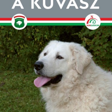 Nemzeti Kincsünk A Kuvasz