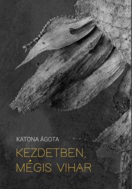 Kezdetben, Mégis Vihar