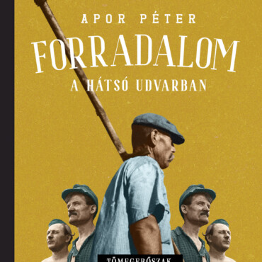 Forradalom A Hátsó Udvarban