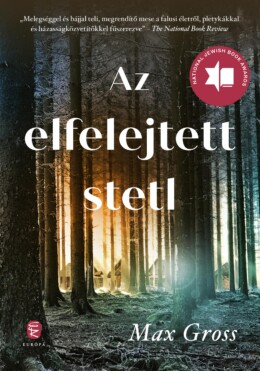 Az Elfelejtett Stetl